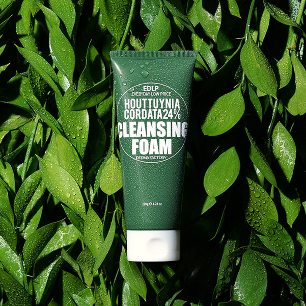 Пінка для глибокого очищення шкіри обличчя 120 г, Derma Factory Houttuynia Cordata 24% Cleansing Foam 154 фото