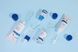 ROUND LAB Birch Juice Trial Kit Набір мініверсій засобів з березовим соком 104 фото 3
