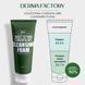 Пінка для глибокого очищення шкіри обличчя 120 г, Derma Factory Houttuynia Cordata 24% Cleansing Foam 154 фото 2