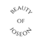 Beauty of Joseon